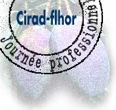 Logo Journée professionnelle du Cirad-Flhor © Cirad 2001