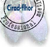 Logo professional meeting Cirad-Flhor © Cirad 2001